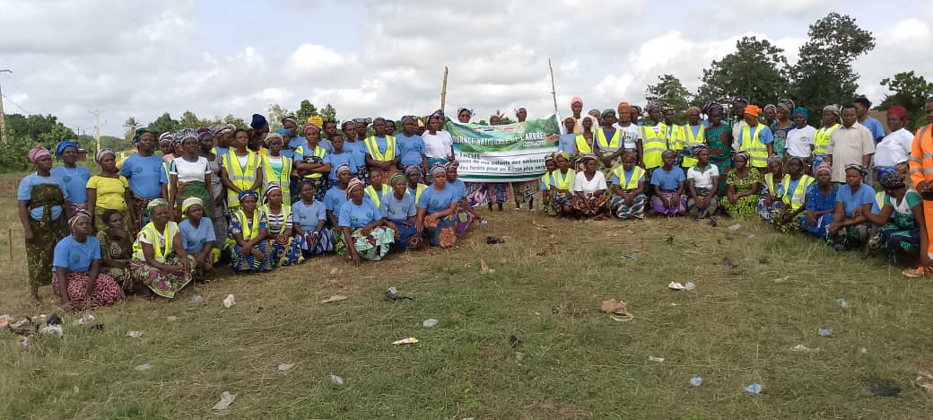 Klouékanmè célèbre la 41e Journée Nationale de l’Arbre sous le signe de l’engagement environnemental